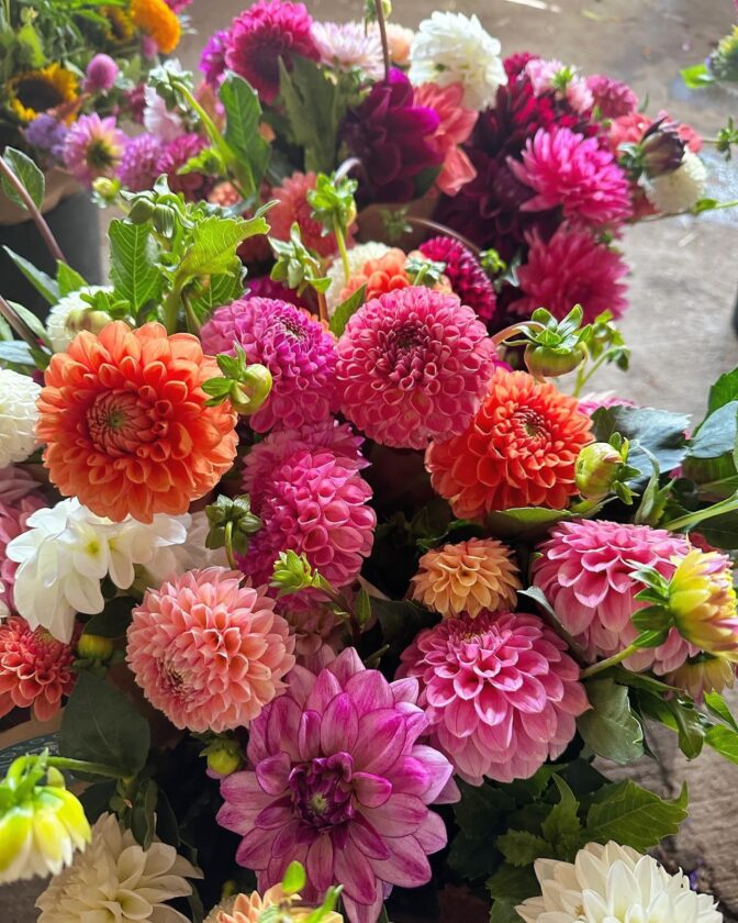 Paden City Garden Club Celebrating 75 Years News, Sports, Jobs